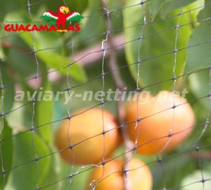 Aviary Netting