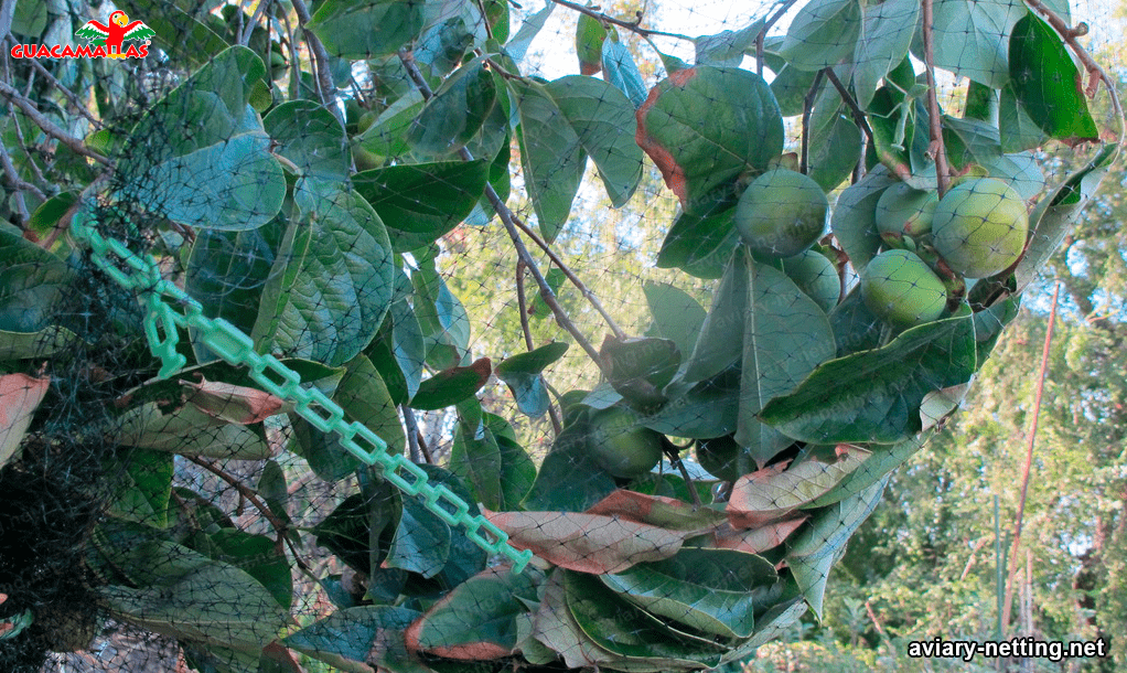 Bird netting