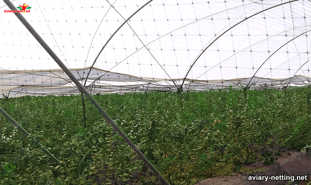 anti bird netting 