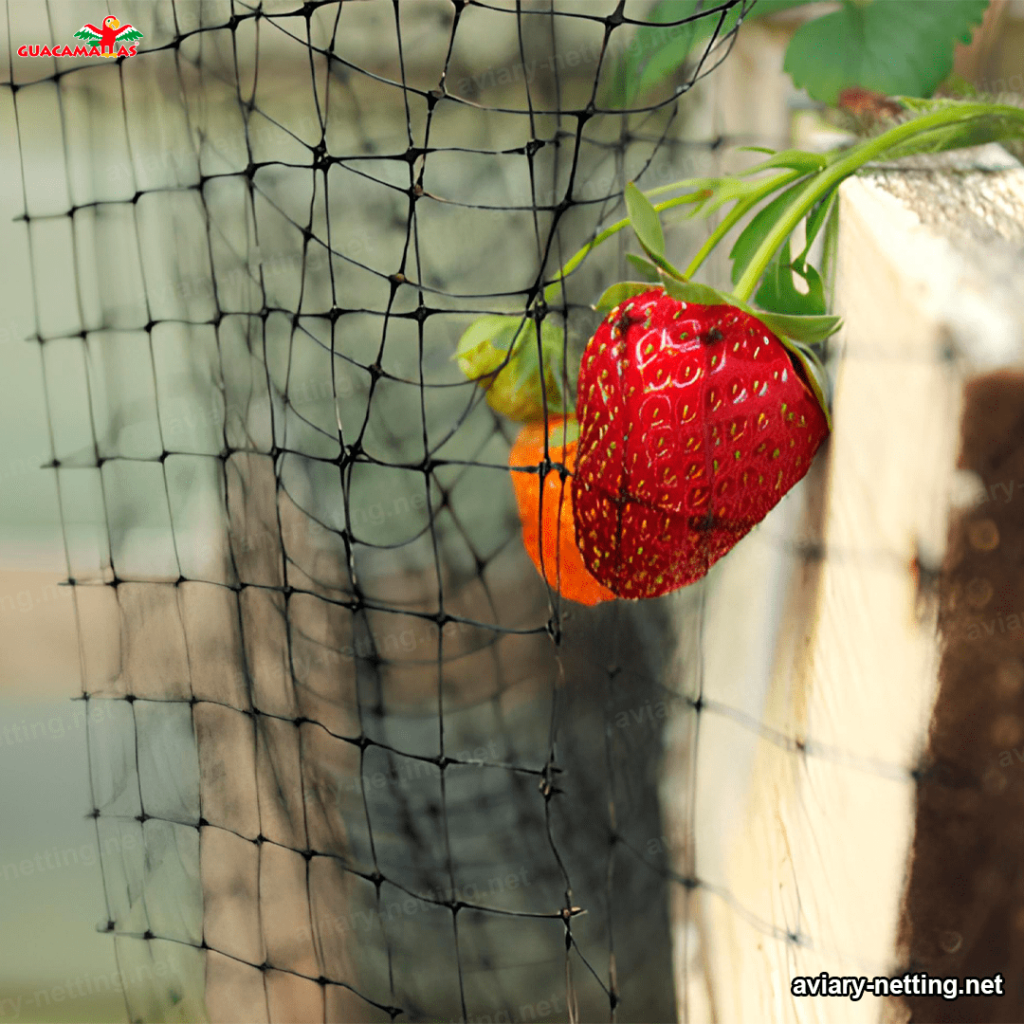 plastic netting for aviary